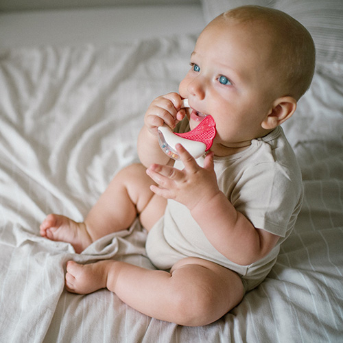 B.O.1593 Grzechotka z gryzakiem - obrazek 4