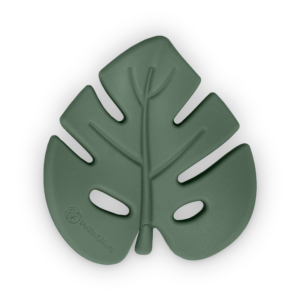 PETITE&MARS 701817 Silikonowy gryzak TAKE&MATCH Misty Green 0+