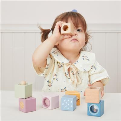 VIGA 44279 Drewniane Klocki Sensoryczne PolarB - obrazek 5